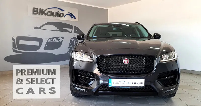 jaguar f-pace Jaguar F-Pace cena 119500 przebieg: 75000, rok produkcji 2018 z Nekla